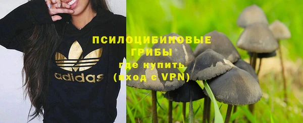 альфа пвп Киреевск