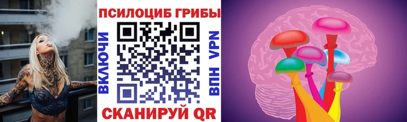 Купить  Белорецк  Псилоцибиновые грибы MAGIC MUSHROOMS 